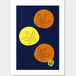 Orange and Yellow Sand dollars Posters and Art